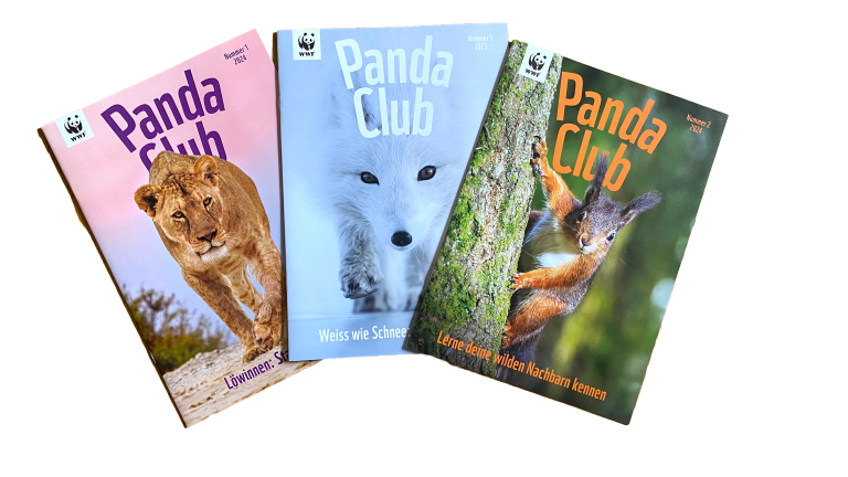 Panda-Club-Magazine