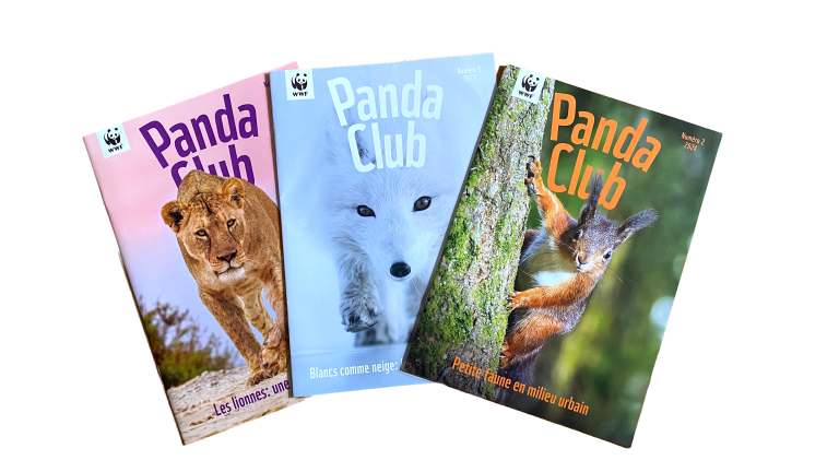 Magazines Panda Club