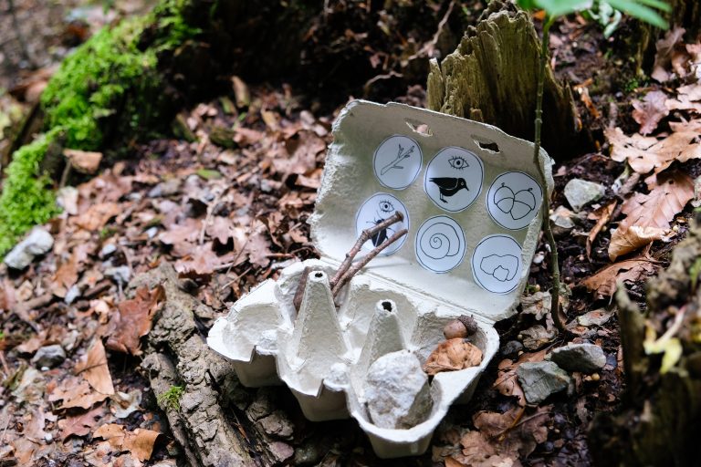 Un carton à oeufs remplis de trésors de la forêt